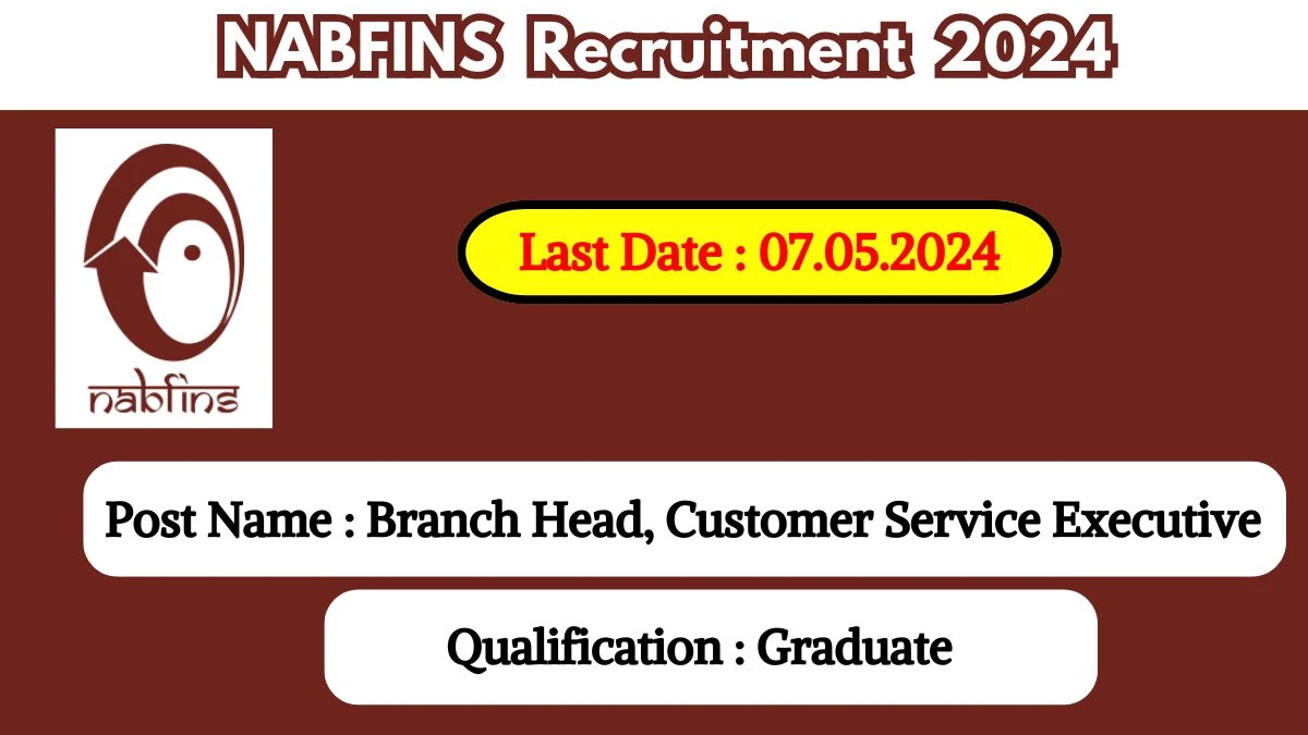 NABFINS Recruitment 2024 - Latest Branch Head, Customer Service ...