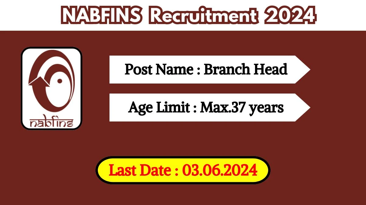 NABFINS Recruitment 2024 New Notification Out For Various Posts, Check Vacancies, Salary, Age, Qualification And How To Apply