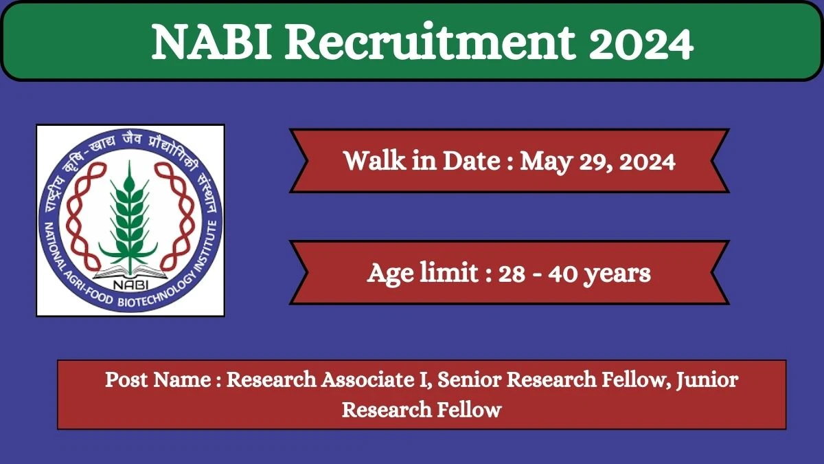 NABI Recruitment 2024 Walk-In Interviews for Research Associate I, Senior Research Fellow, Junior Research Fellow on May 29, 2024
