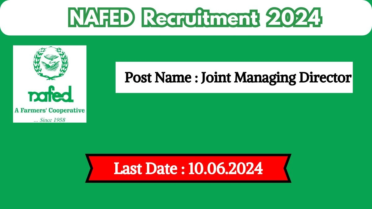 NAFED Recruitment 2024 New Opportunity Out, Check Vacancy, Post, Qualification and Application Procedure