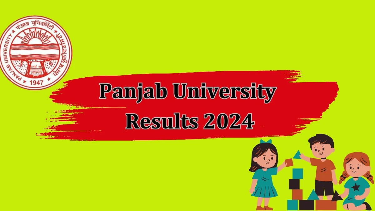 Panjab University Results 2024 (Released) at puchd.ac.in Check B.Voc. (Media and Entertainment)