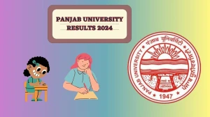 Panjab University Results 2024 (Released) at puchd.ac.in Check M.sc 3rd Sem