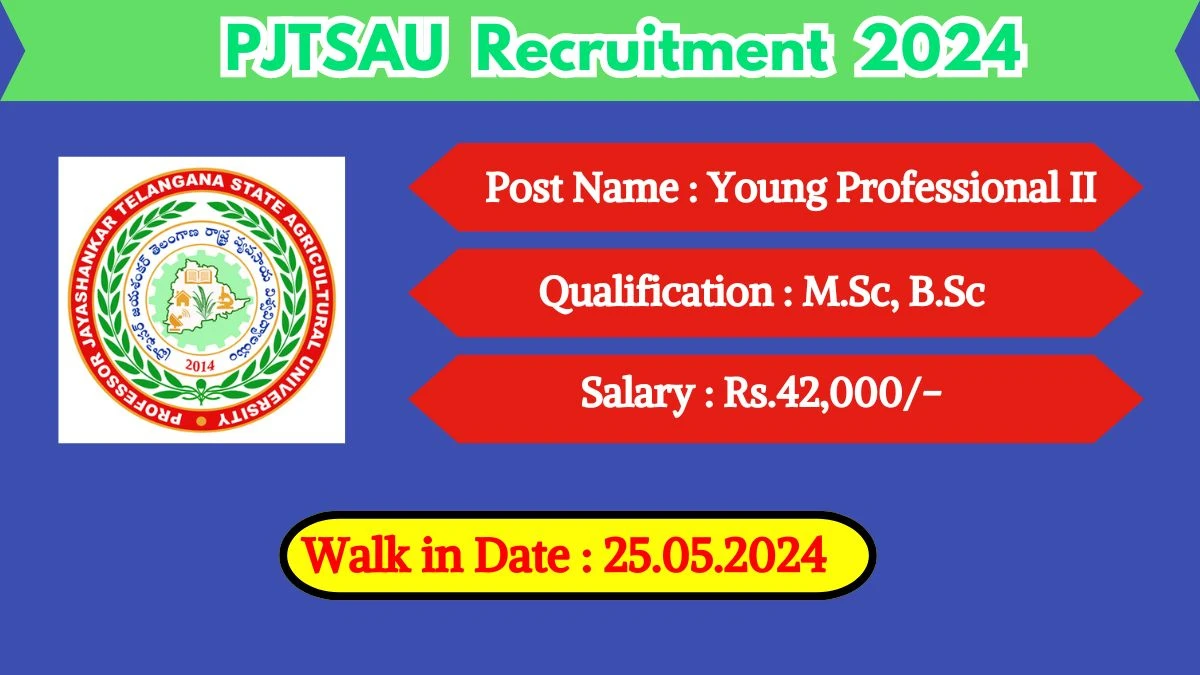 PJTSAU Recruitment 2024 Walk-In Interviews for Young Professional II on 25.05.2024