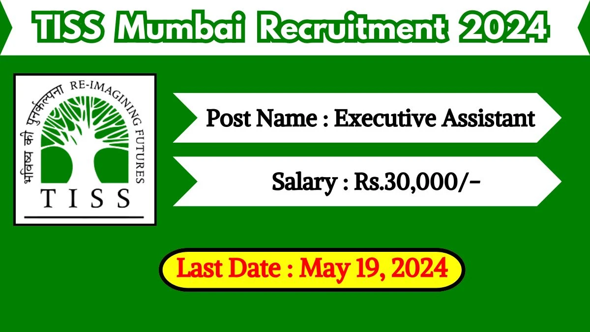 TISS Mumbai Recruitment 2024 Check Posts, Qualification, Selection Process And How To Apply