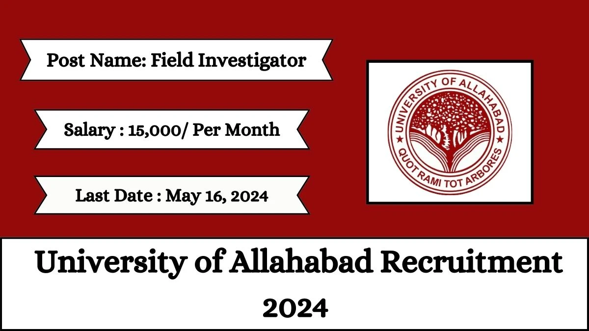University of Allahabad Recruitment 2024 Check Posts, Qualification, Selection Process And How To Apply