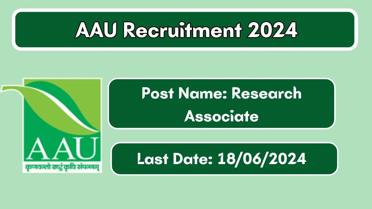 AAU Recruitment 2024 - Latest Research Associate Vacancies on 13 June 2024