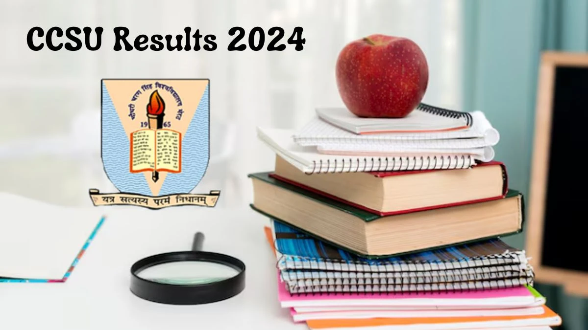 CCSU Results 2024 (Announced) at ccsuniversity.ac.in Link Here