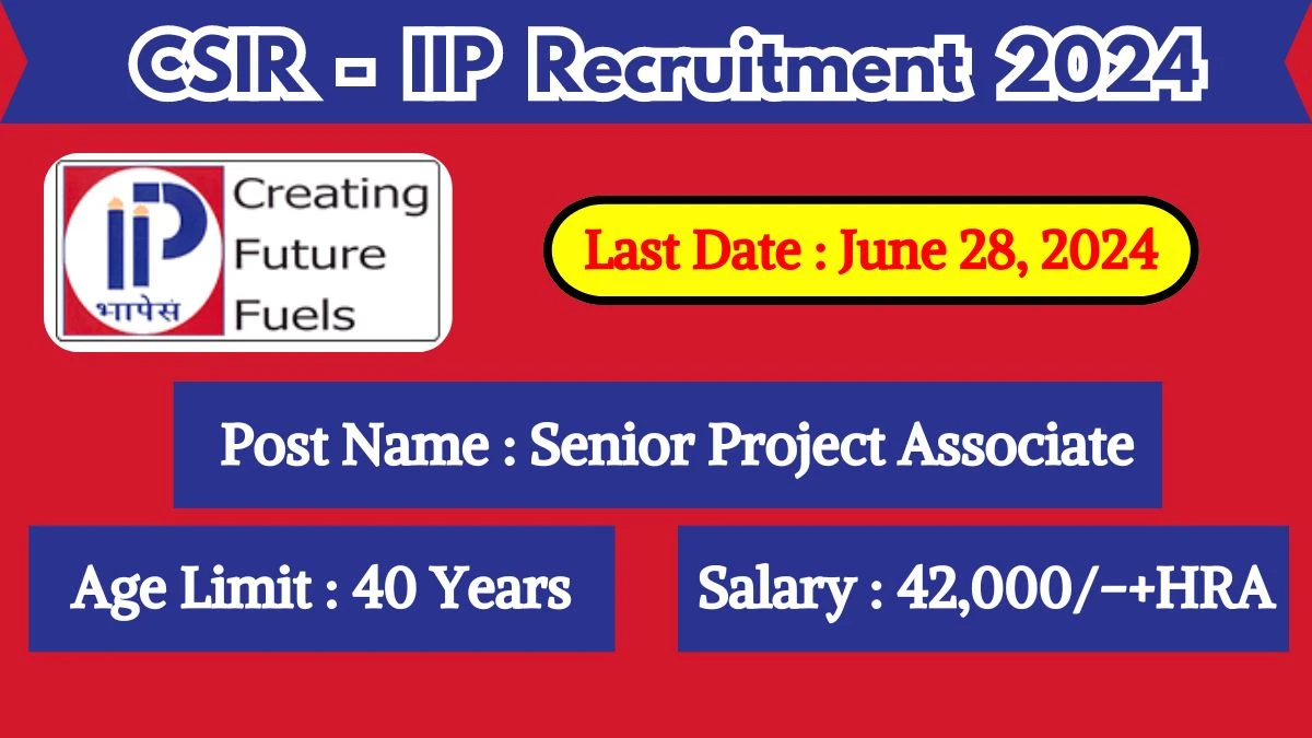 CSIR - IIP Recruitment 2024 Check Posts, Qualification And How To Apply