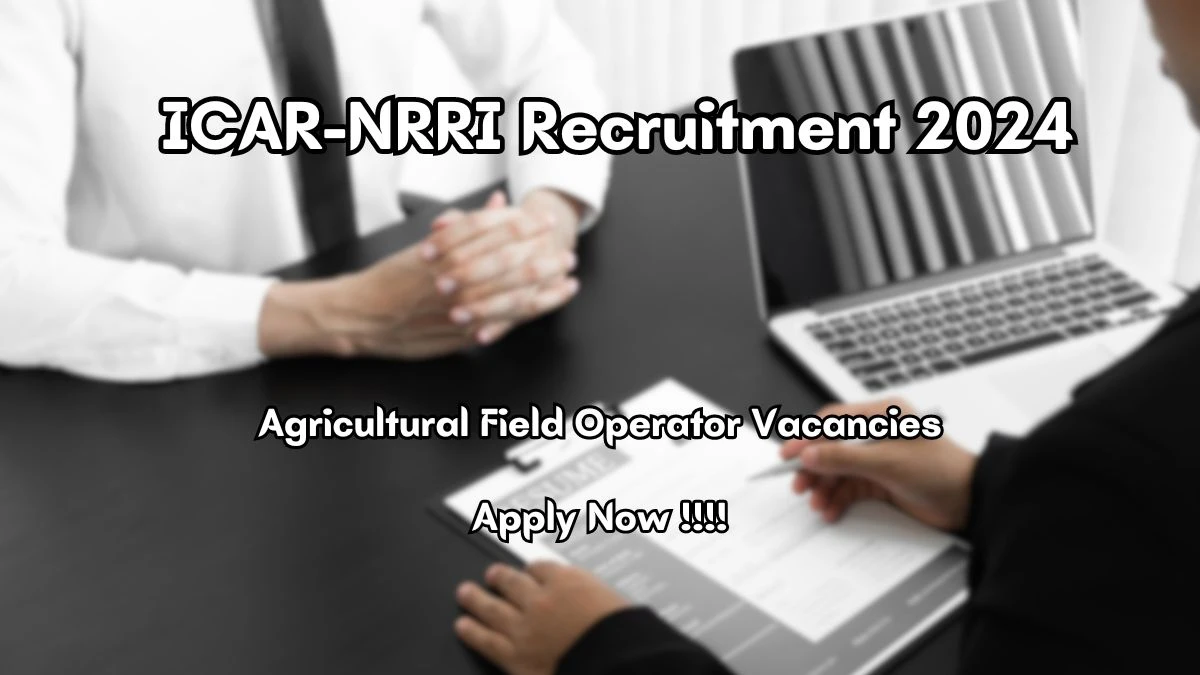 ICAR-NRRI Recruitment 2024 Walk-In Interviews for Agricultural Field Operator on 28/06/2024