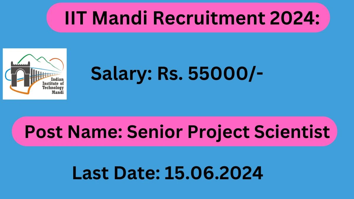 IIT Mandi Recruitment 2024: Salary Up To 55000 Per Month, Check Post, Vacancies, Eligibility And Other Details