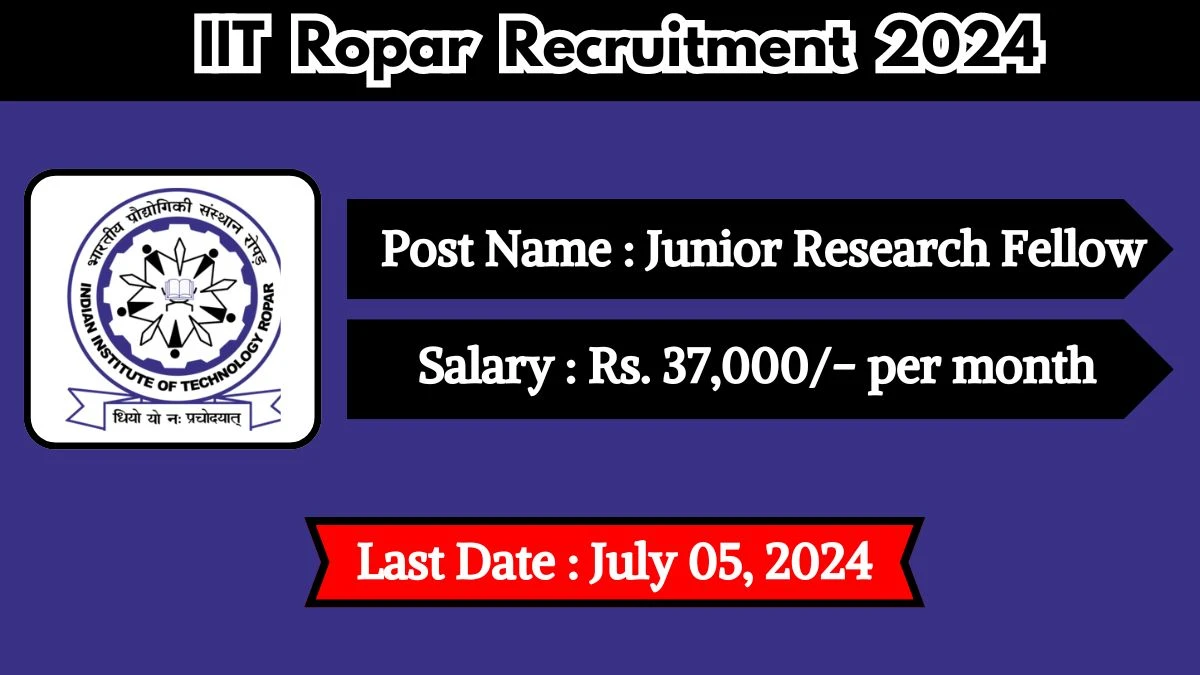 IIT Ropar Recruitment 2024 Check Posts, Qualification, Selection Process And How To Apply