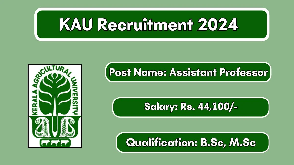 KAU Recruitment 2024 Apply Online for Assistant Professor Job Vacancy, Know Qualification, Age Limit, Salary, Apply Online Date