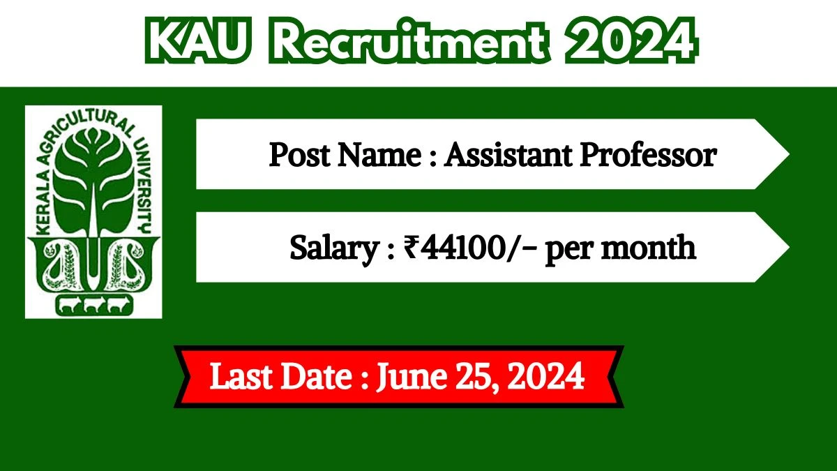 KAU Recruitment 2024 Check Posts, Qualification, Age Limit And How To Apply