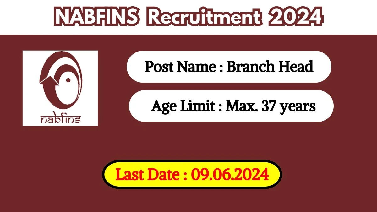 NABFINS Recruitment 2024 Check Post, Vacancies, Age Limit, Qualification And How To Apply