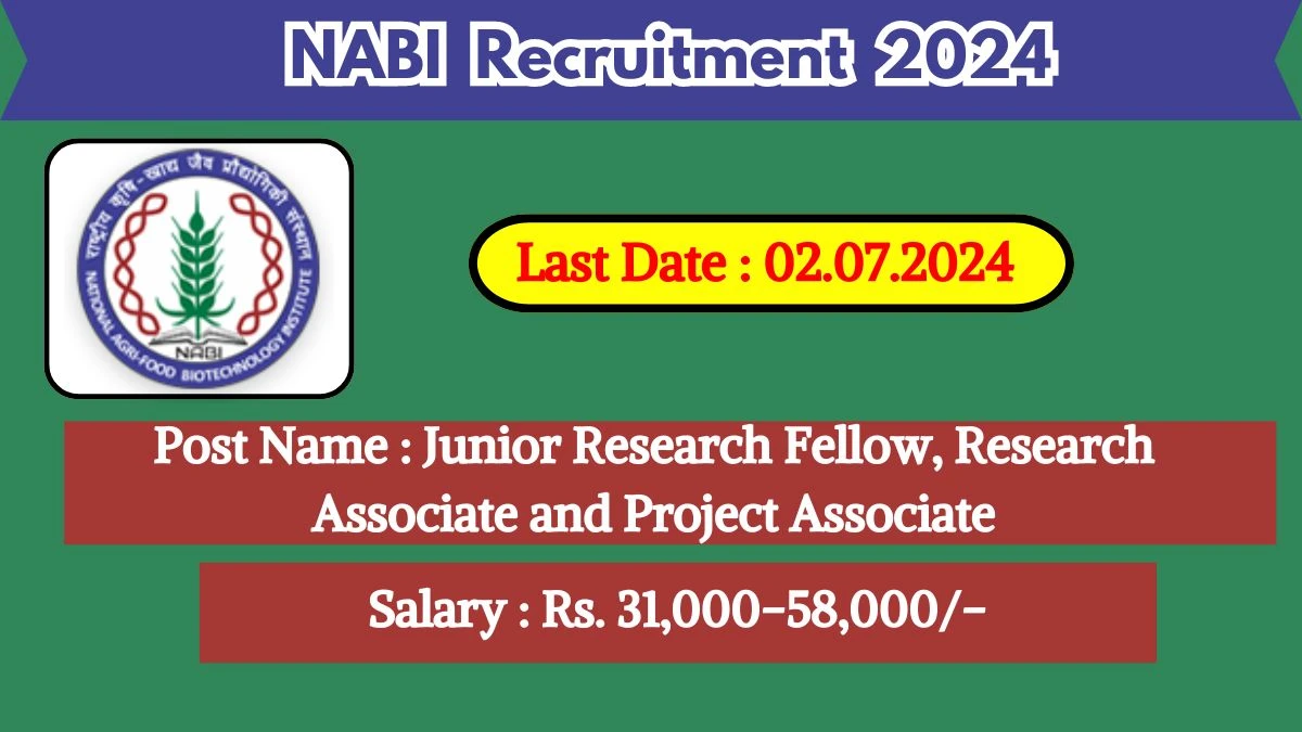 NABI Recruitment 2024 Notification Out For Vacancies, Check Posts, Qualification, Age And How To Apply