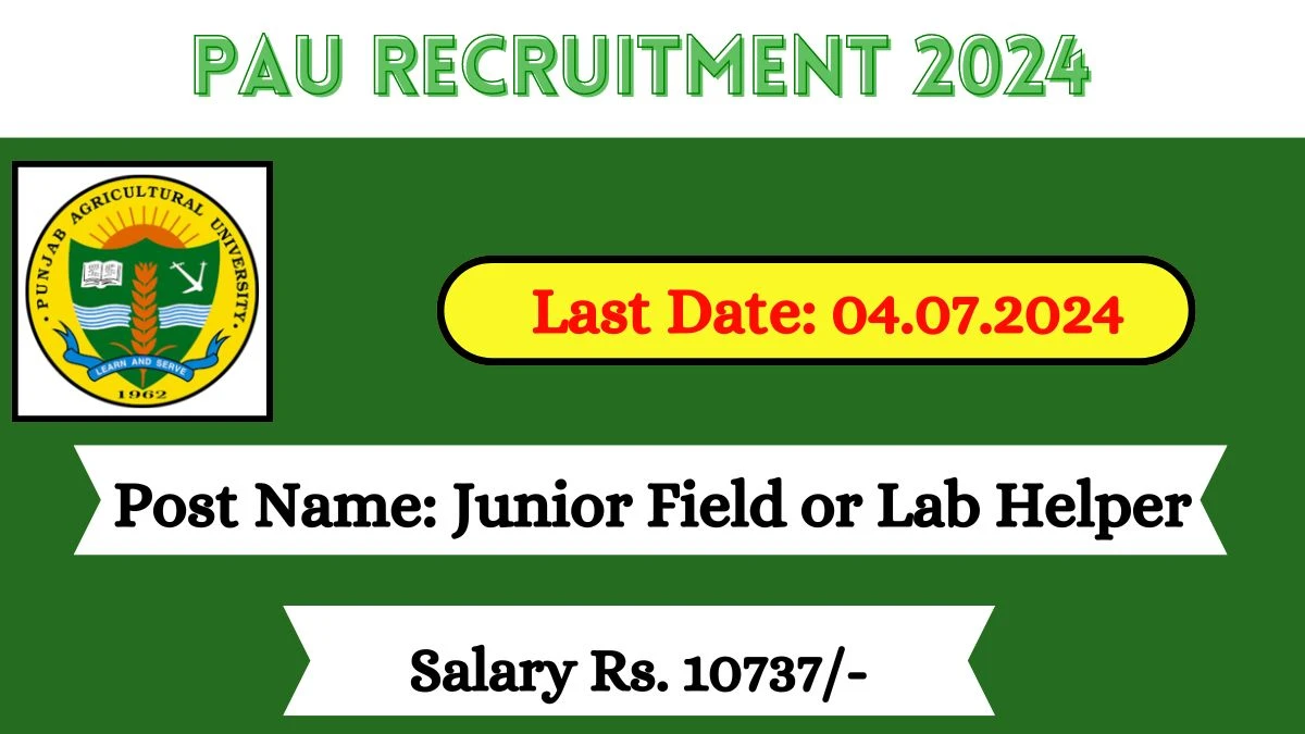 PAU Recruitment 2024 Check Post, Age Limit, Salary And Apply Now