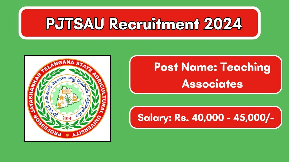 PJTSAU Recruitment 2024 Walk-In Interviews for Teaching Associates on 26/06/2024 to 27/06/2024