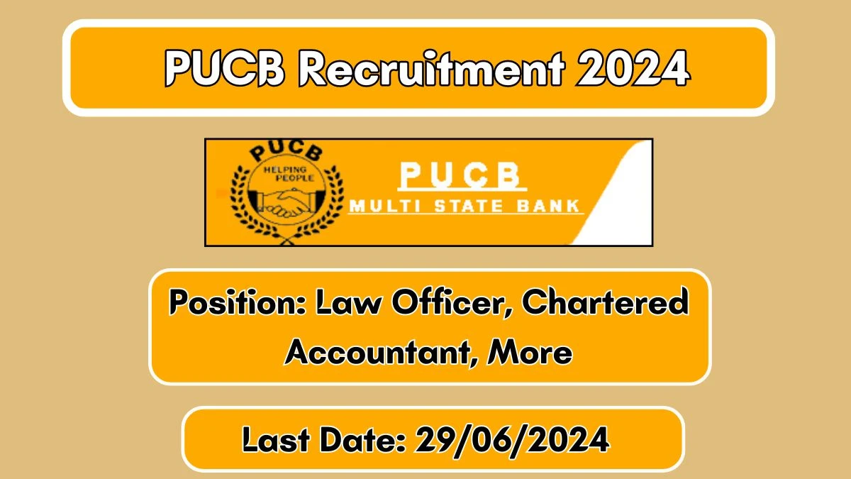 PUCB Recruitment 2024 New Opportunity Out, Check Vacancy, Post, Qualification and Application Procedure