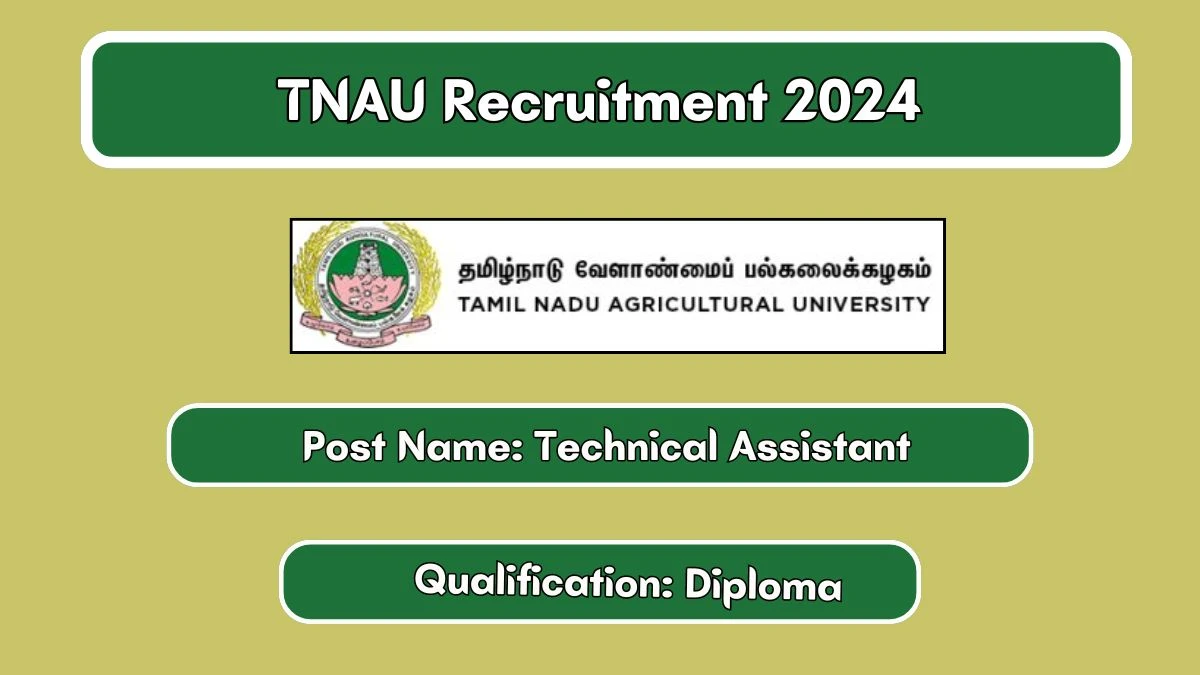 TNAU Recruitment 2024 Apply Online for Technical Assistant Job Vacancy, Know Qualification, Age Limit, Salary, Walkin Date