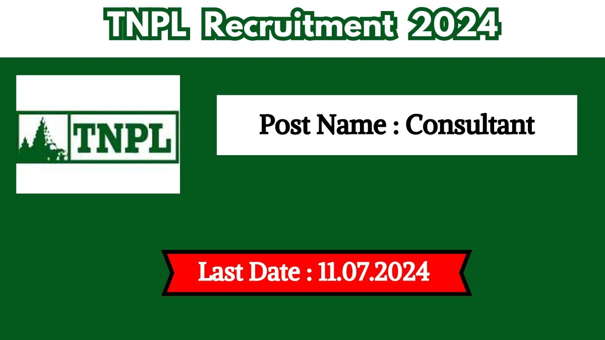 TNPL Recruitment 2024 Check Post, Age Limit, Vacancies, Educational Qualification, Salary And Selection Process