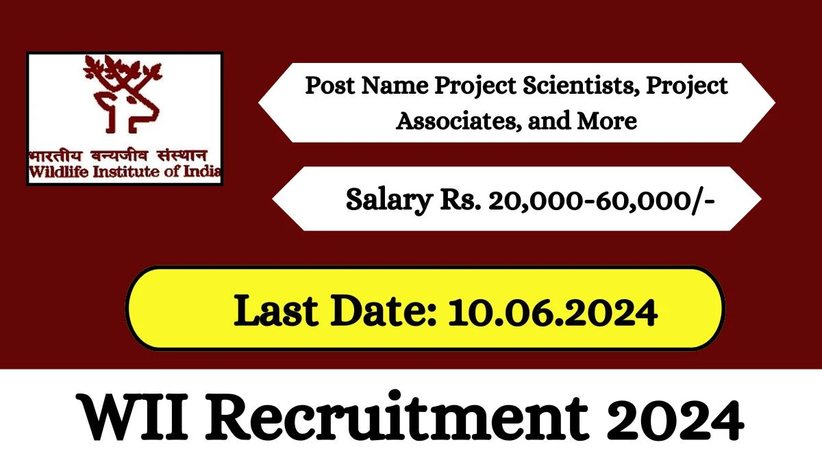 WII Recruitment 2024 Check Post, Salary, Age, Qualification And Application Procedure