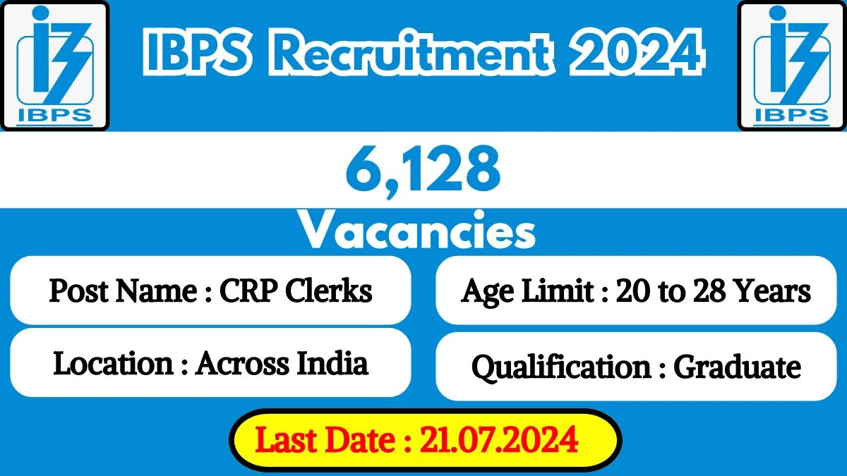 IBPS Recruitment 2024 Notification Out for 6,128 CRP Clerks, Check Eligibility at ibps.in