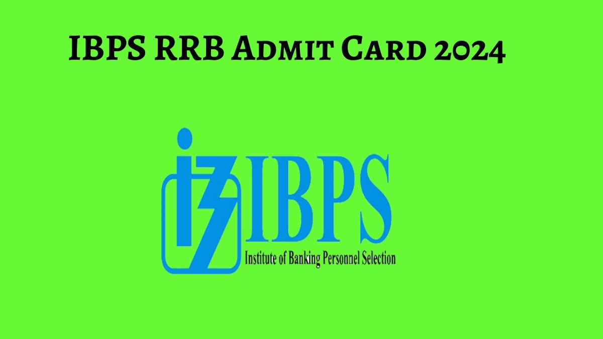 IBPS RRB Admit Card 2024 will be declared soon ibps.in Steps to Download Hall Ticket for Officer - 01 July 2024