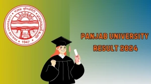 Panjab University Result 2024 (Link Out) @ puchd.ac.in Diploma in Fine Arts Download Here