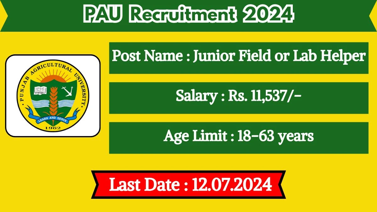 PAU Recruitment 2024 - Latest Junior Field or Lab Helper Vacancies on 27 June 2024