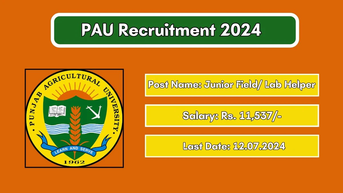 PAU Recruitment 2024 Notification Out Junior Field/ Lab Helper, Check Eligibility at pau.edu