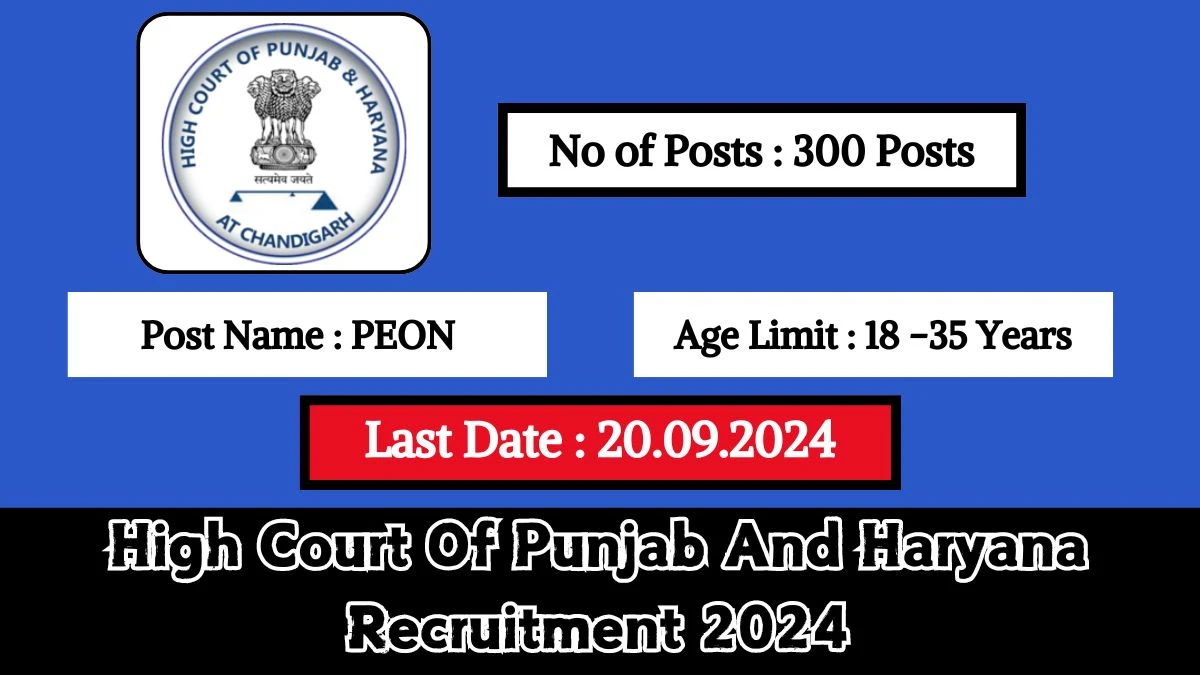 High Court Of Punjab And Haryana Recruitment 2024 Check Post, Age Limit, Qualification, Salary And Other Important Details