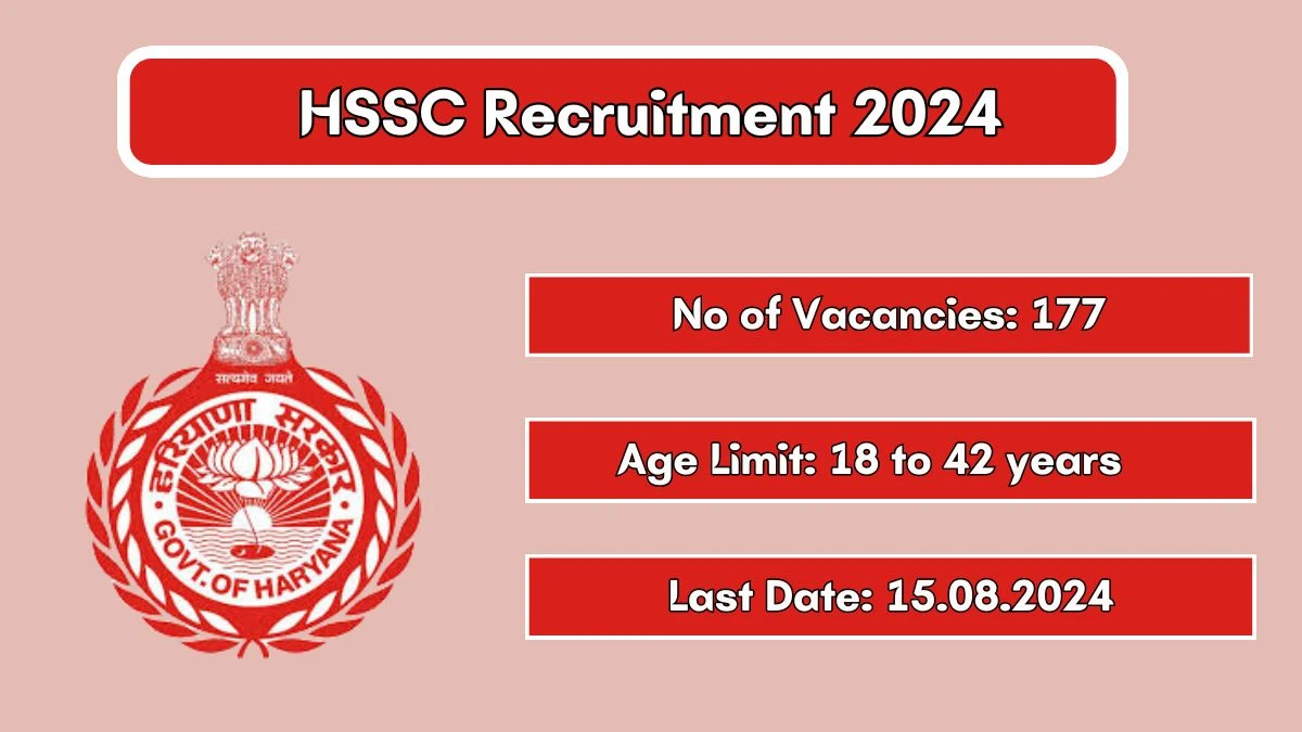 HSSC Recruitment 2024 Notification Out for 177 Statistical Assistant, Investigator, More Vacancies, Check Eligibility at hssc.gov.in