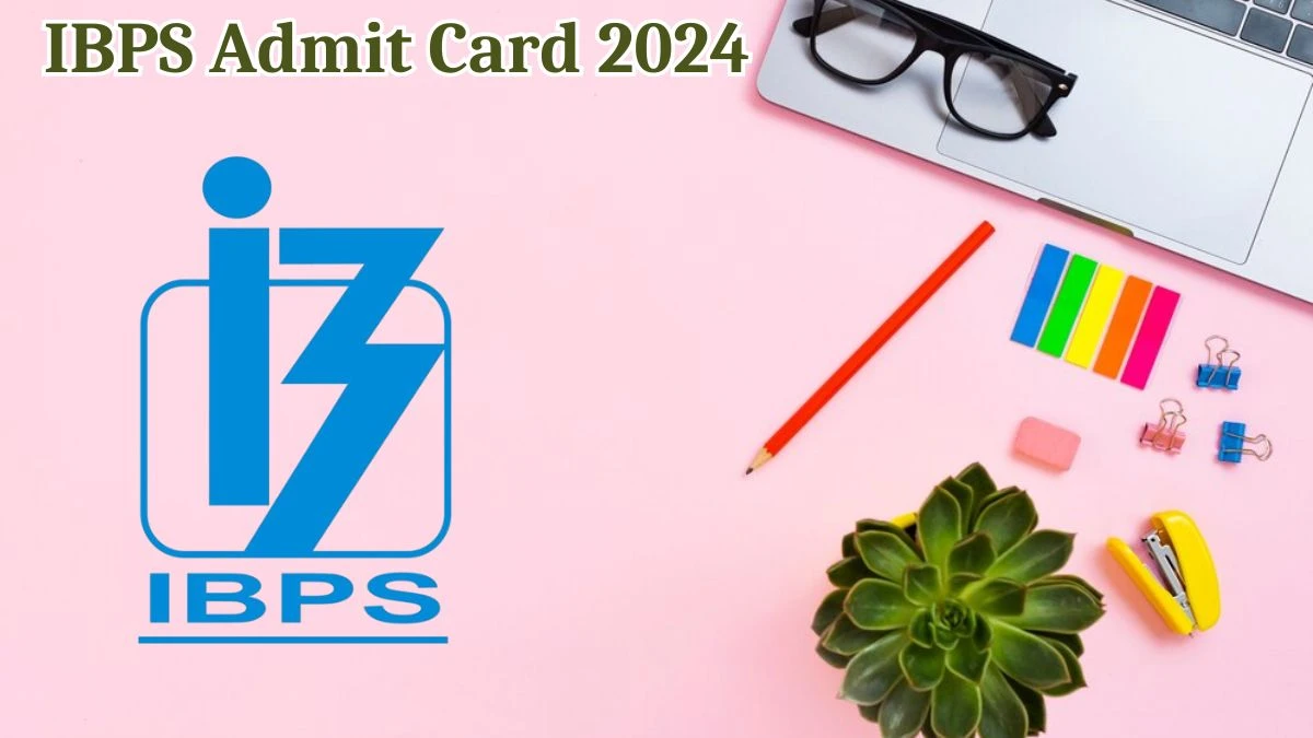 IBPS Admit Card 2024 will be released Clerk Check Exam Date, Hall Ticket ibps.in - 13 Aug 2024