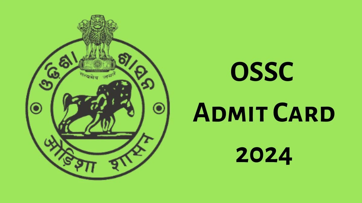 OSSC Admit Card 2024 For Combined Graduate Level released Check and Download Hall Ticket, Exam Date @ ossc.gov.in - 29 Aug 2024