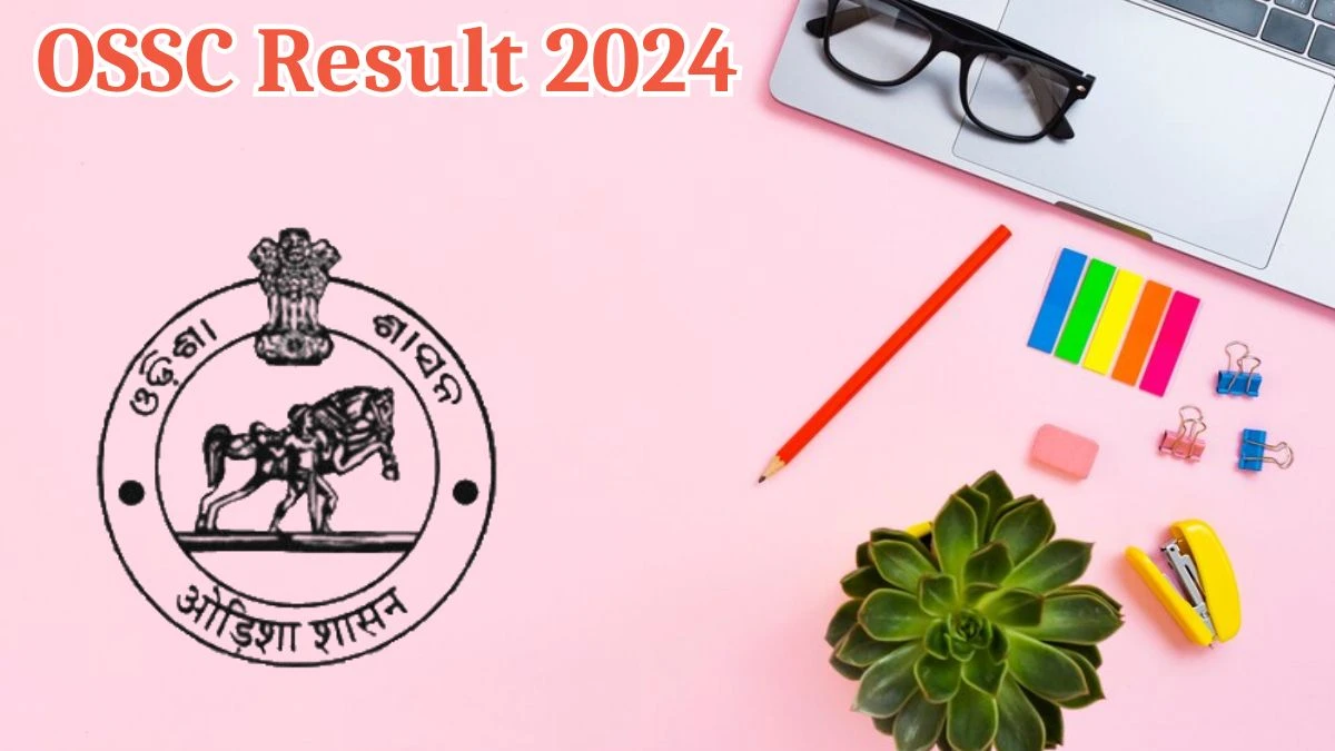 OSSC Result 2024 To Be Released at ossc.gov.in Download the Results for Group B and C - 05 Aug 2024