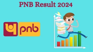 PNB Result 2024 Announced. Direct Link to Check PNB Apprentice Result 2024 pnbin...