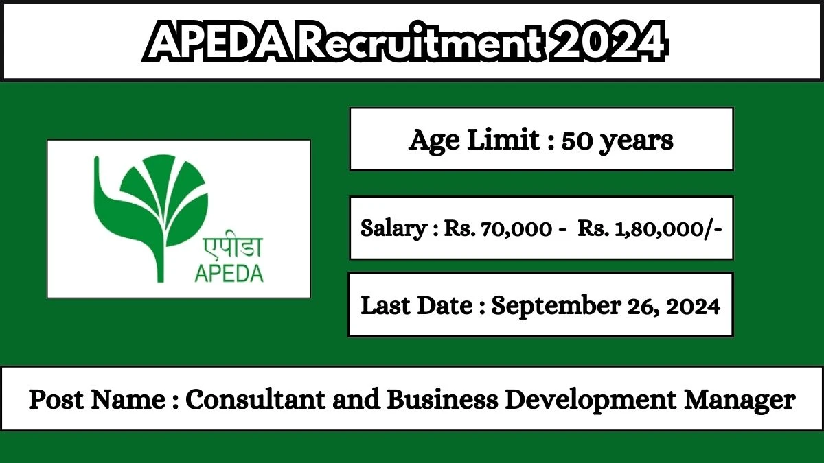 APEDA Recruitment 2024 Check Post, Age Limit, Qualification, Salary And Other Important Details