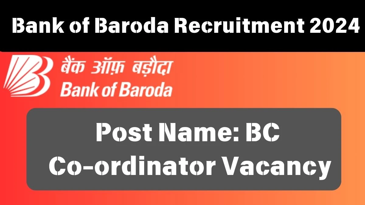 Bank of Baroda Recruitment 2024 - Latest BC Co-ordinator Vacancies on 27 September 2024