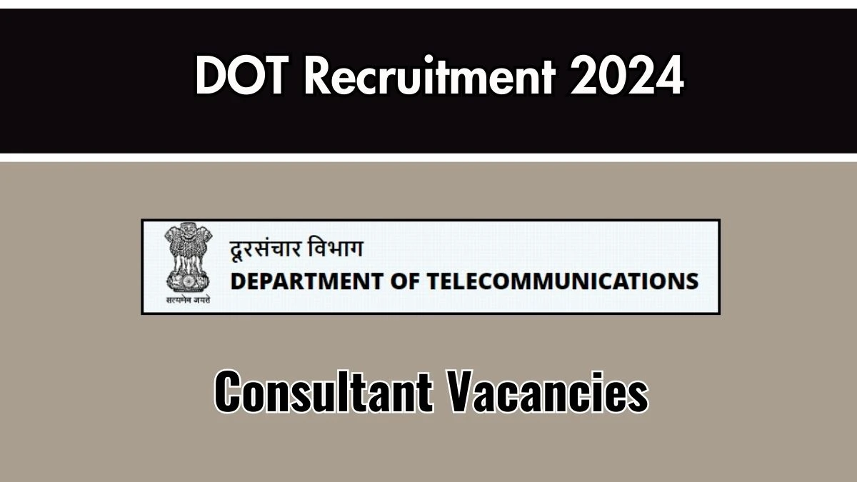 DOT Recruitment 2024 - Latest Consultant Vacancies on 24 September 2024