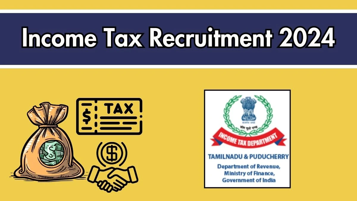 Income Tax Recruitment 2024 - Latest Tax Assistant, Multi Tasking Staff, More Vacancies Vacancies on 18 September 2024