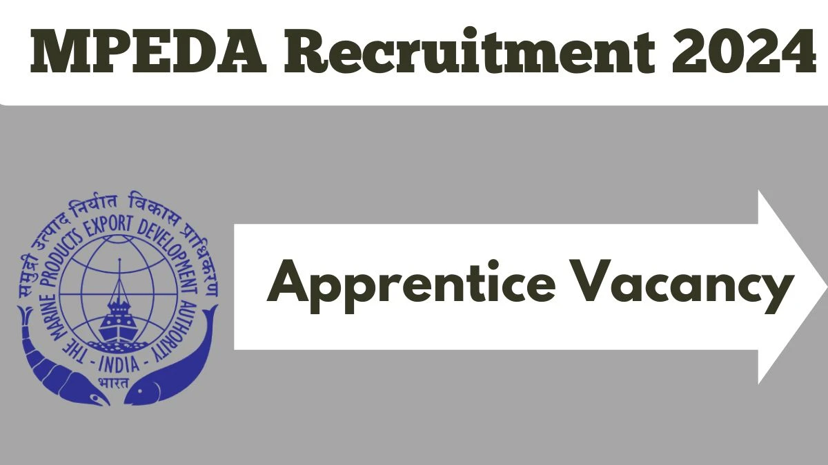 MPEDA Recruitment 2024 - Latest Apprentice Vacancy on 25 September 2024