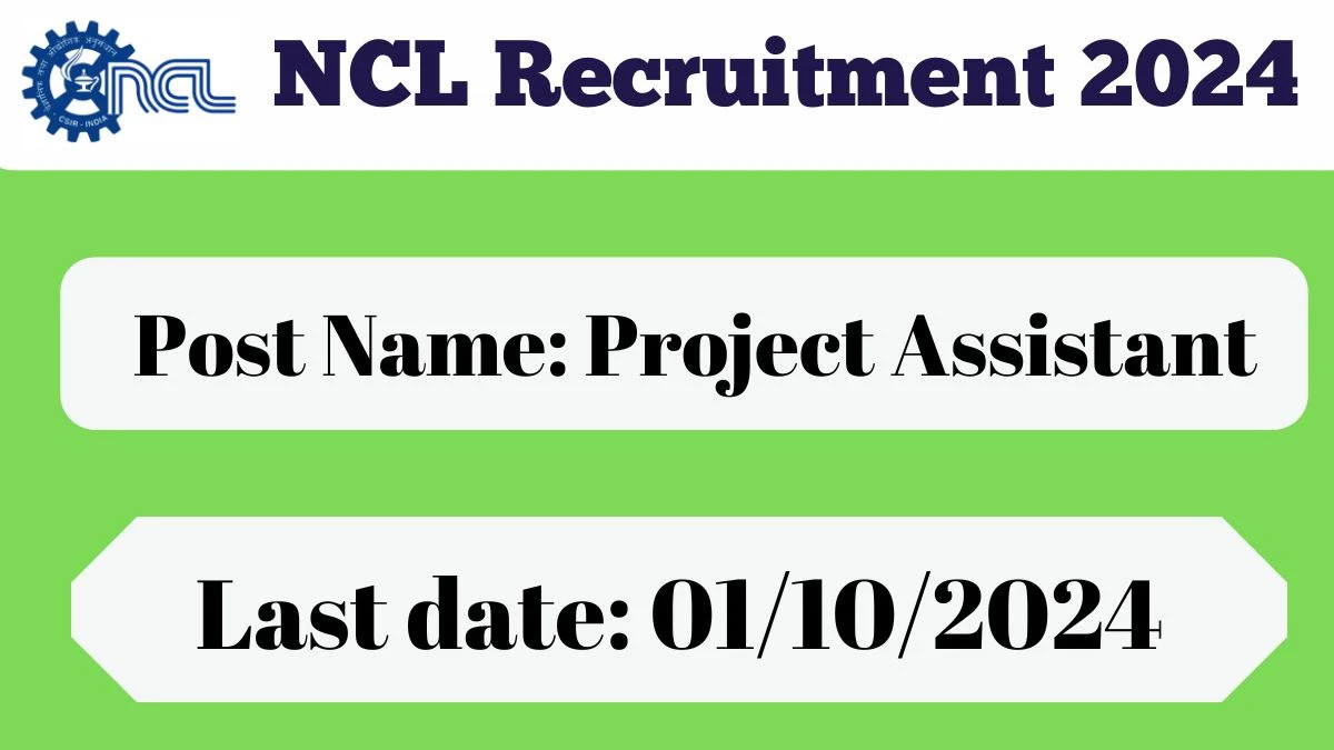 NCL Recruitment 2024 New Opportunity Out, Check Vacancy, Post, Qualification and Application Procedure