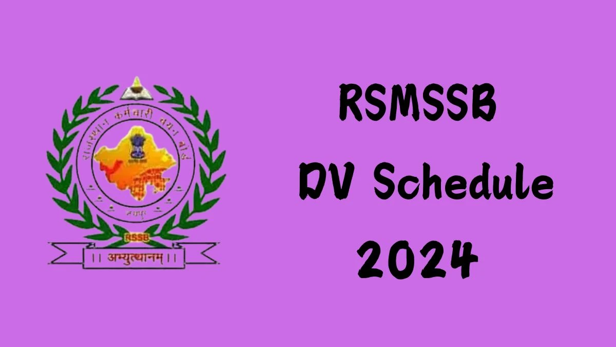 RSMSSB Junior Accountant and Tehsil Revenue Accountant DV Schedule 2024: Check Document Verification Date @ rsmssb.rajasthan.gov.in - 14 September 2024