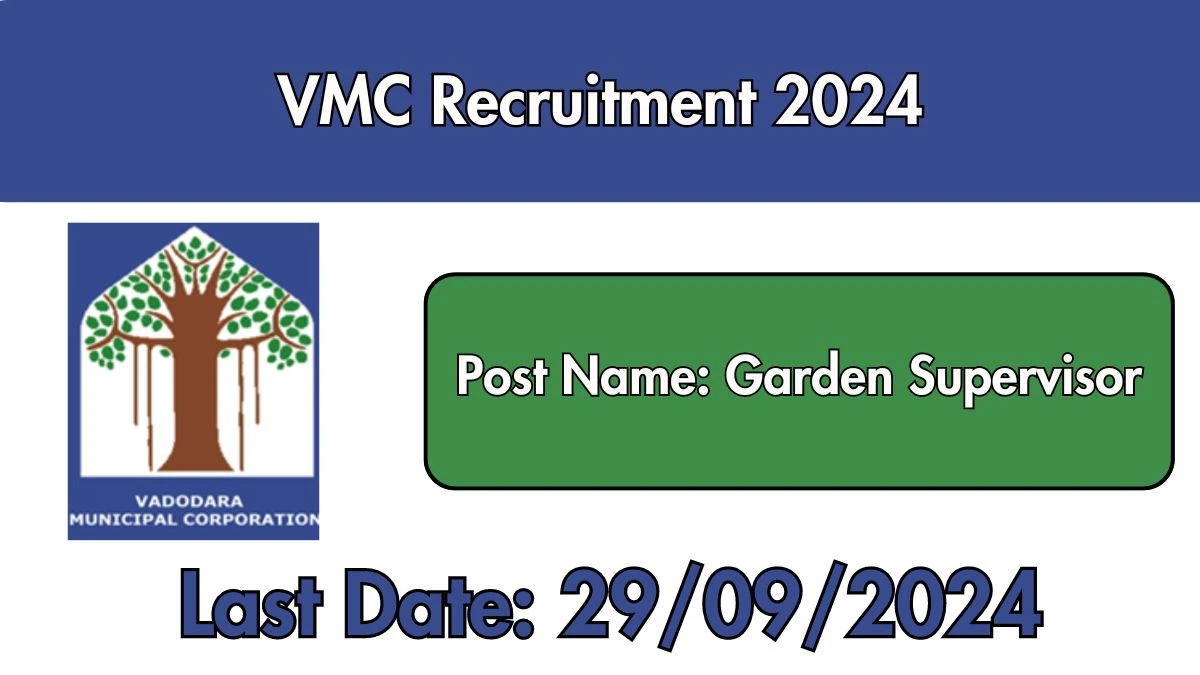 VMC Recruitment 2024 New Opportunity Out, Check Vacancy, Post, Qualification and Application Procedure