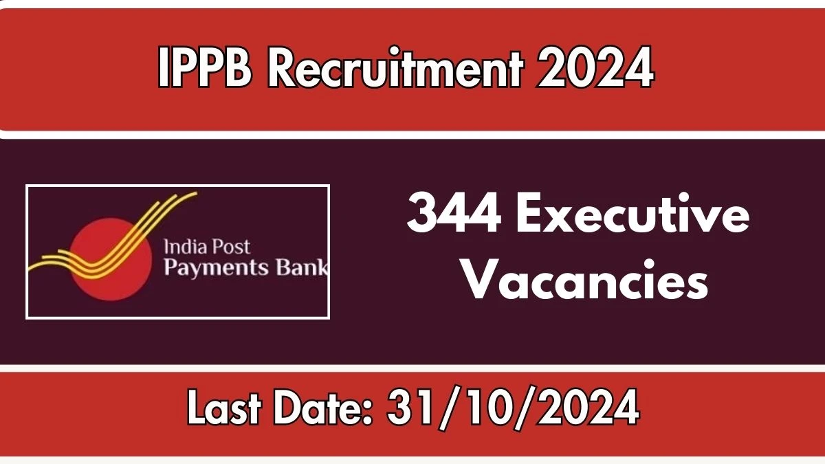 IPPB Recruitment 2024 - Latest 344 Executive Vacancies on 14 October  2024