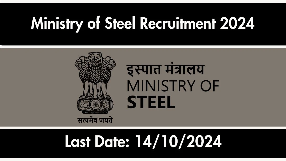 Ministry of Steel Recruitment 2024 New Opportunity Out, Check Vacancy, Post, Qualification and Application Procedure