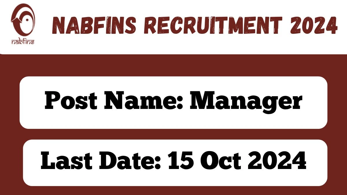 NABFINS Recruitment 2024 Notification Out for Manager , Check Eligibility at nabfins.org