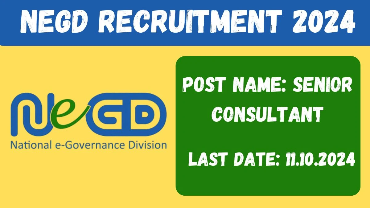 NeGD Recruitment 2024 - Latest Senior Consultant Vacancies on 03 October 2024