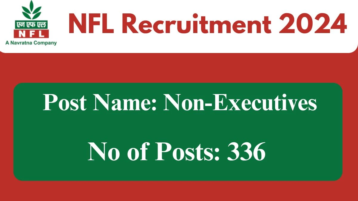 NFL Recruitment 2024 - Latest 336 Non-Executives Vacancies on 15 October 2024