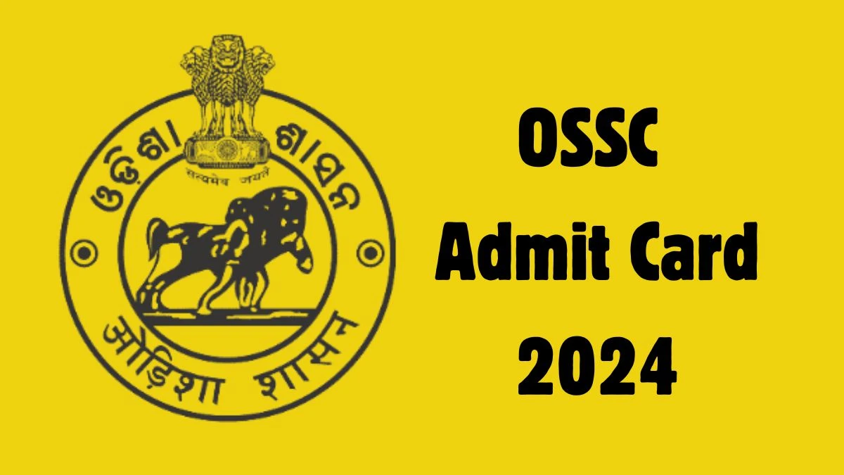 OSSC Admit Card 2024 will be notified soon Group B and C ossc.gov.in Here You Can Check Out the exam date and other details - 14 October 2024